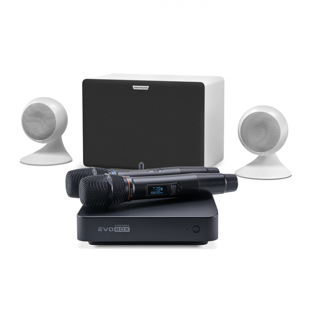 караоке-комплект EVOBOX Classic + EvoSound Sphere 2.1 в Белогорске
