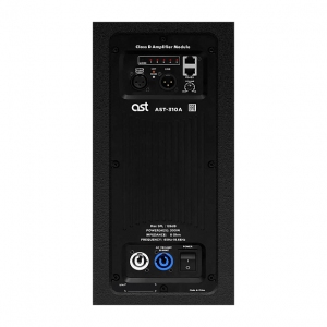 Активная акустическая система AST-310A в Белогорске
